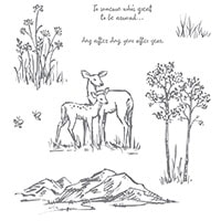 In The Meadow Wood-Mount Stamp Set