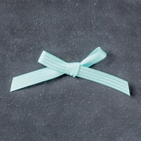 Pool Party 3/8" (1 Cm) Stitched Satin Ribbon