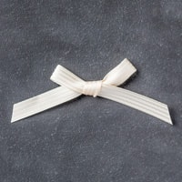 Very Vanilla 3/8" (1 Cm) Stitched Satin Ribbon
